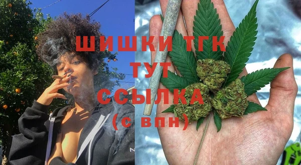 прущая мука Инта