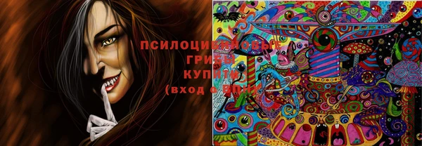 прущая мука Инта