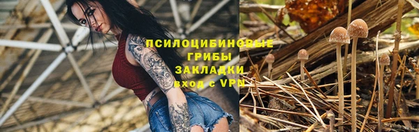 прущая мука Инта
