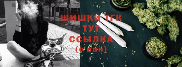 прущая мука Инта