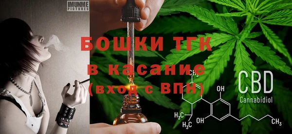 прущая мука Инта