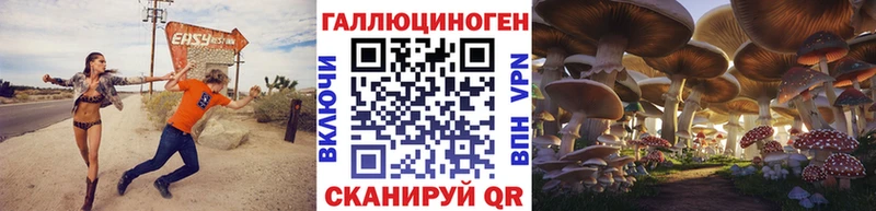 Псилоцибиновые грибы GOLDEN TEACHER Енисейск
